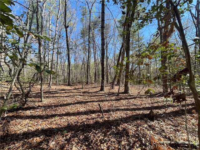 Photo of 00 Mountain Rest Lake Road