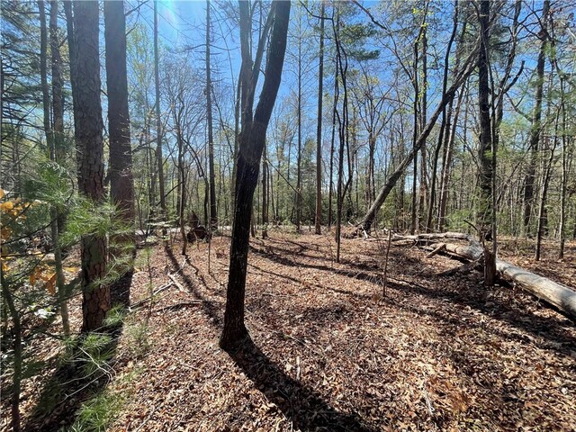 Photo of 00 Mountain Rest Lake Road