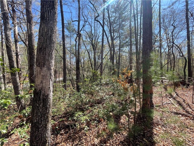 Photo of 00 Mountain Rest Lake Road