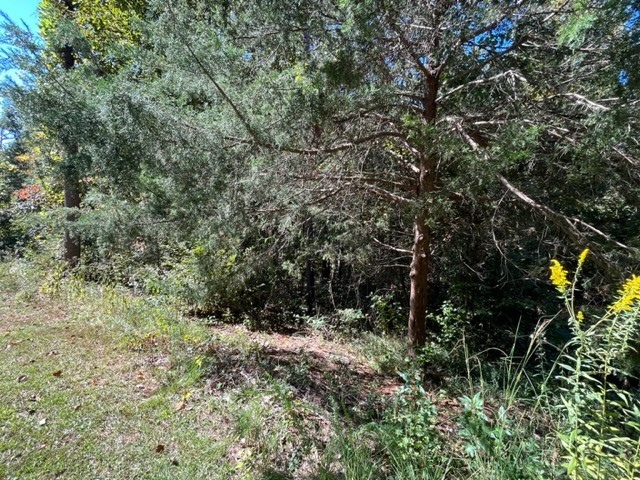 Photo of Lot #68 Cherokee Drive