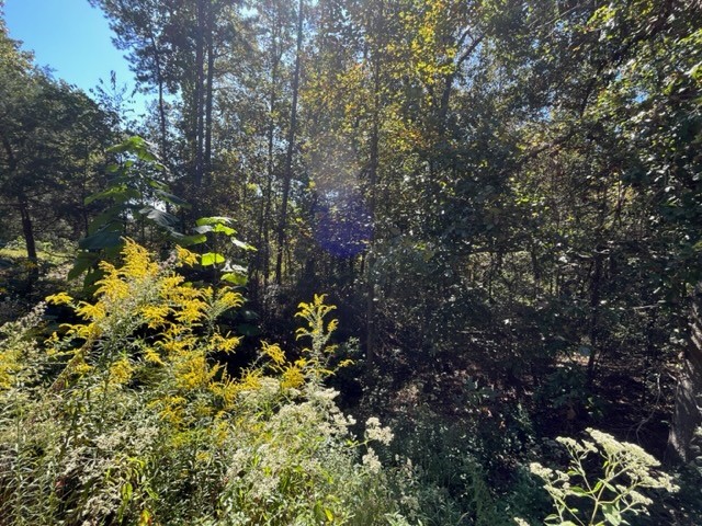 Photo of Lot #68 Cherokee Drive