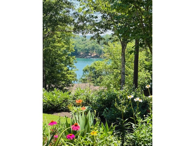 Photo of 511 Palmer Way