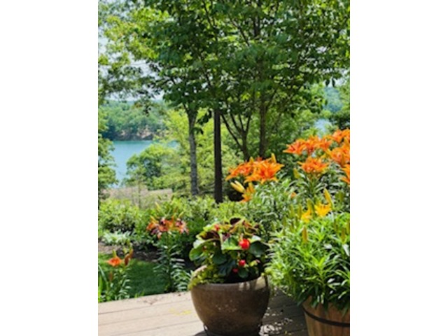 Photo of 511 Palmer Way