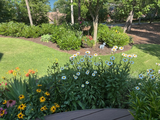 Photo of 511 Palmer Way