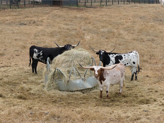 Photo of 1425 S Harper Street