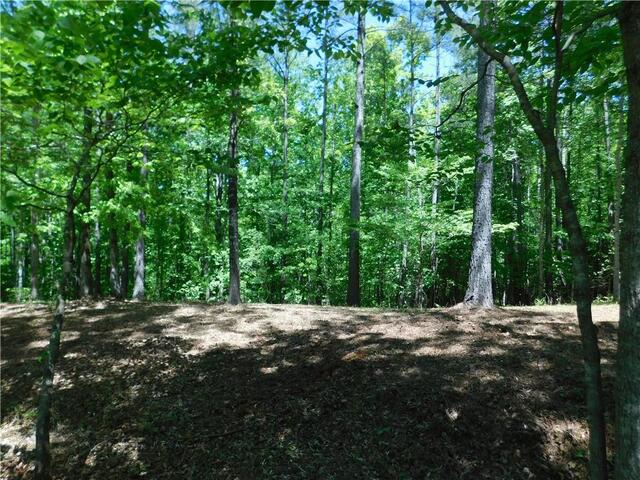 Photo of Lot 47 Cliffs South Parkway