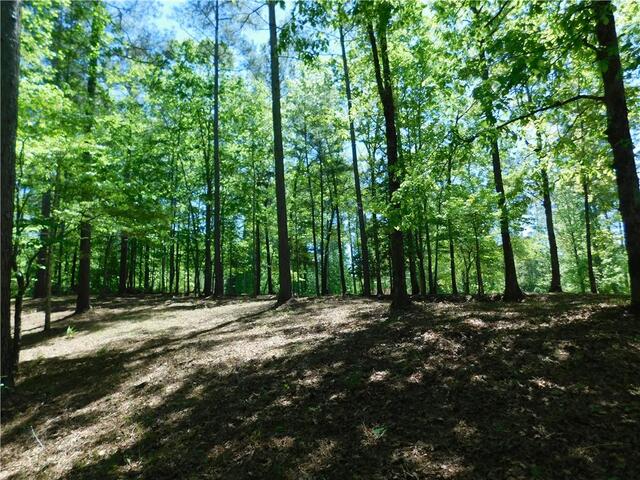 Photo of Lot 47 Cliffs South Parkway