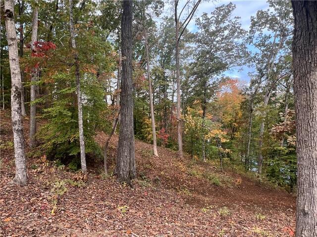 Photo of Lot 62 Riverstone Drive