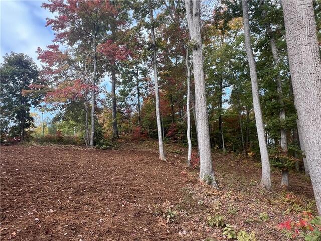 Photo of Lot 62 Riverstone Drive