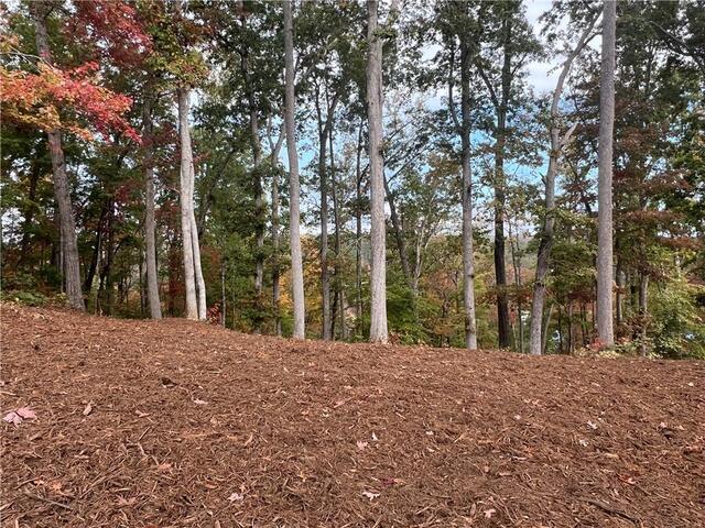 Photo of Lot 62 Riverstone Drive