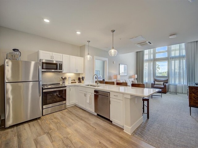 Photo of 13500 Clemson Boulevard