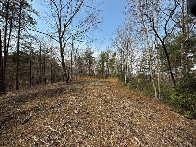 Photo of 110 Buttercup Way