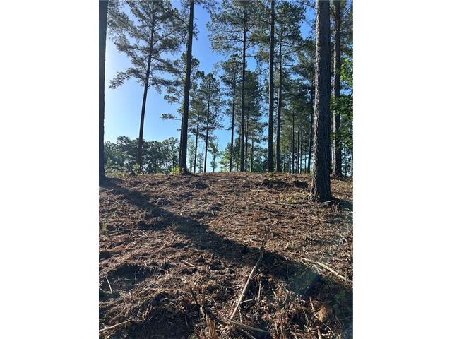 Photo of Lot 2 Little Keowee Boulevard