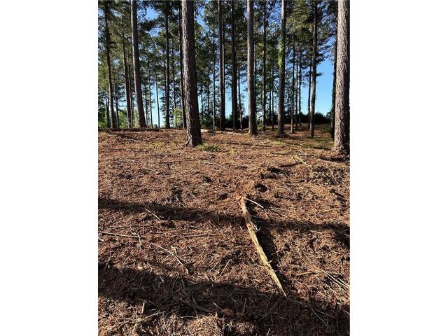 Photo of Lot 2 Little Keowee Boulevard