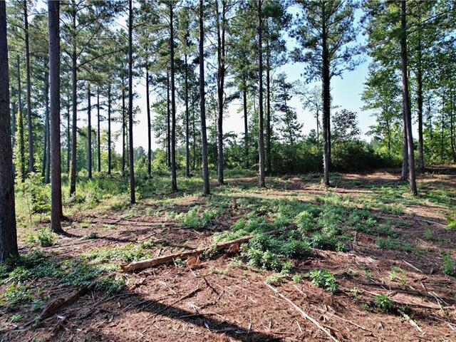 Photo of Lot 2 Little Keowee Boulevard