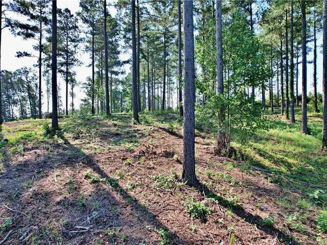 Photo of Lot 2 Little Keowee Boulevard