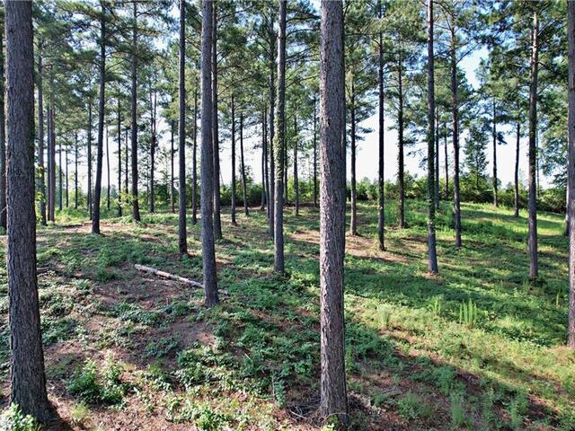 Photo of Lot 2 Little Keowee Boulevard