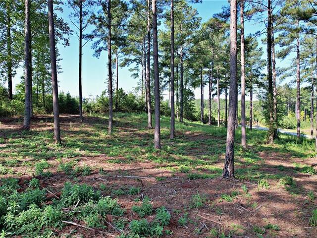 Photo of Lot 2 Little Keowee Boulevard