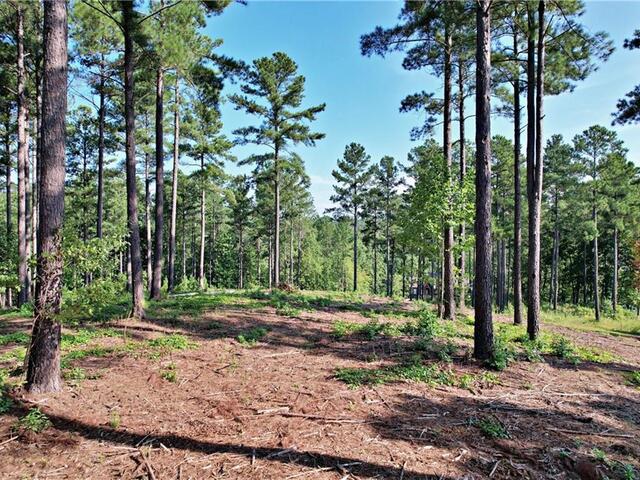 Photo of Lot 2 Little Keowee Boulevard