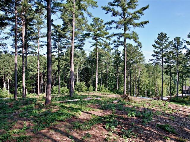 Photo of Lot 2 Little Keowee Boulevard