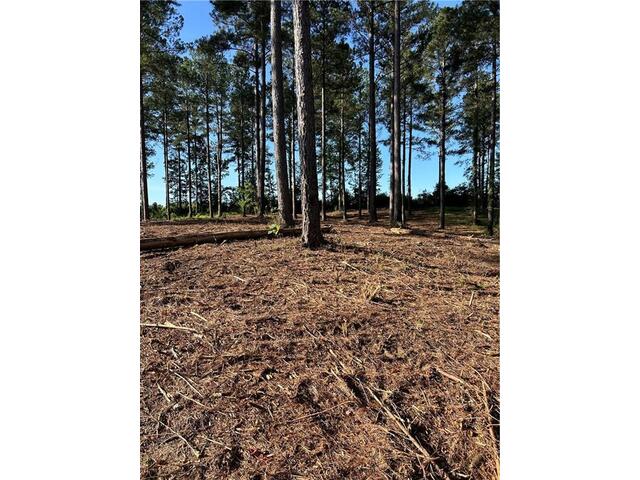 Photo of Lot 2 Little Keowee Boulevard