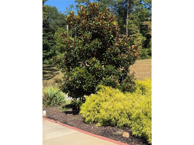 Photo of 408 Marina Bay Drive