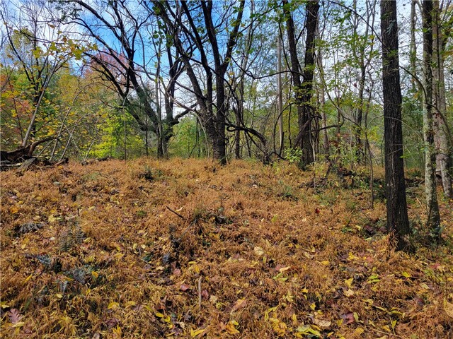 Photo of 173 Ivester Road