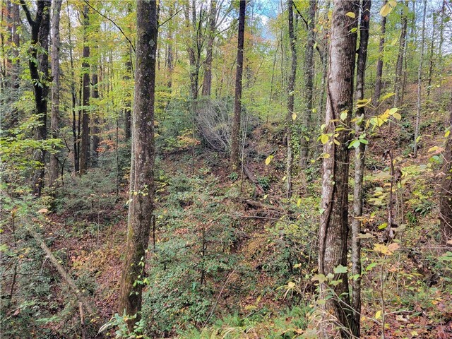 Photo of 173 Ivester Road