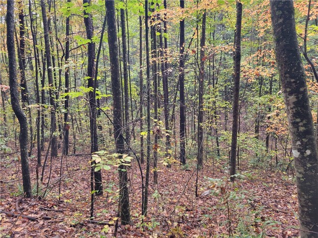 Photo of 173 Ivester Road