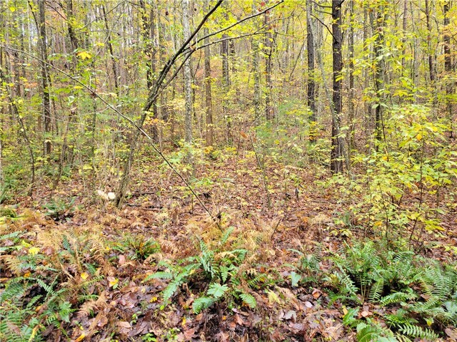 Photo of 173 Ivester Road