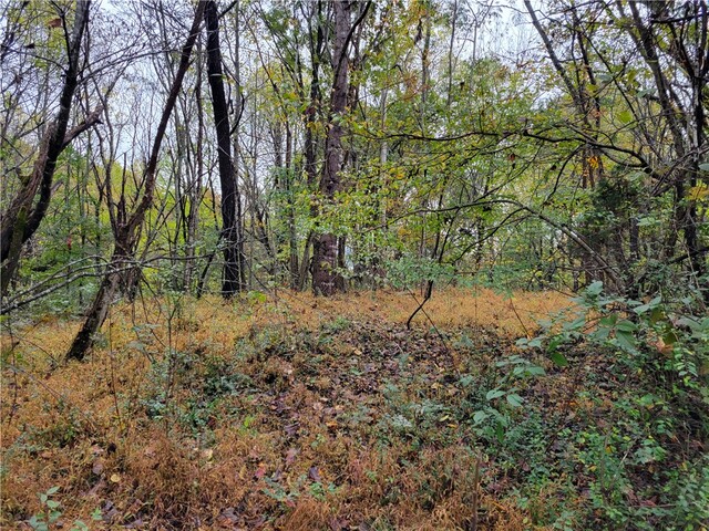 Photo of 173 Ivester Road