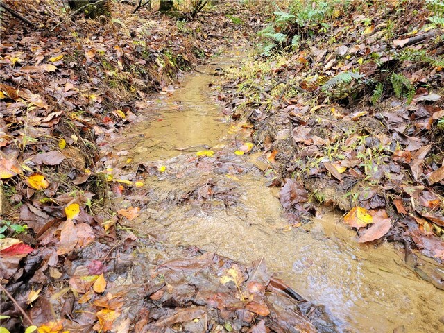 Photo of 173 Ivester Road