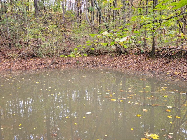 Photo of 173 Ivester Road