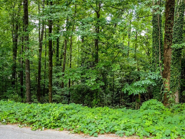 Photo of 00 Westminster Drive