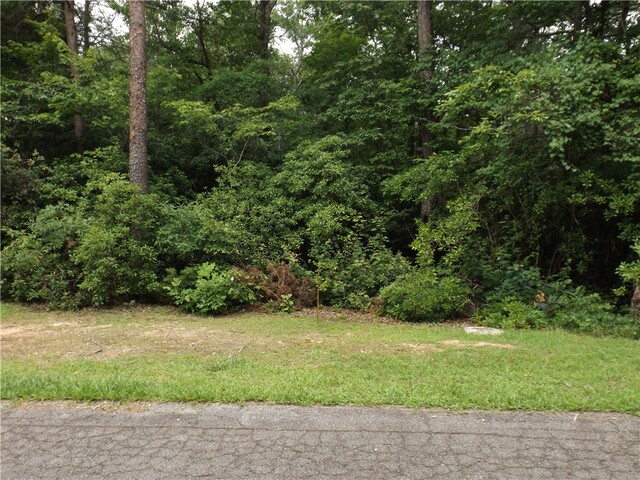 Photo of 343 Gauley falls Road