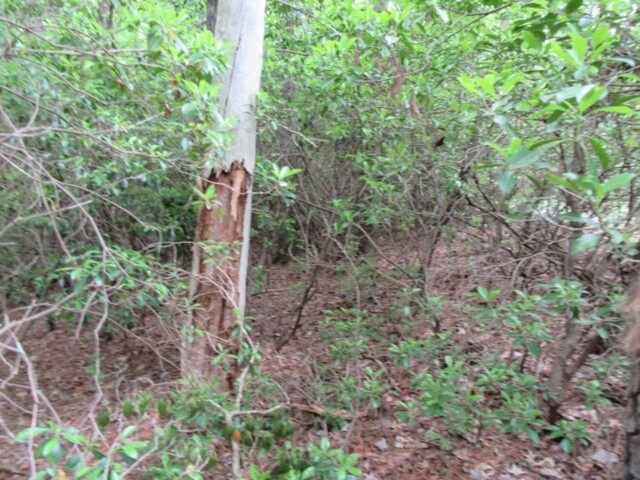 Photo of 343 Gauley falls Road