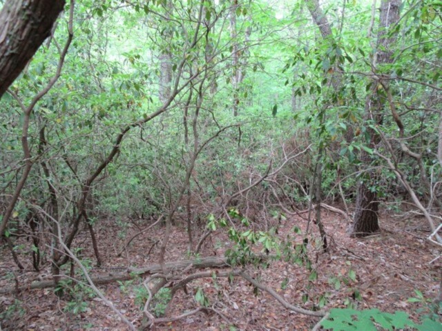 Photo of 343 Gauley falls Road