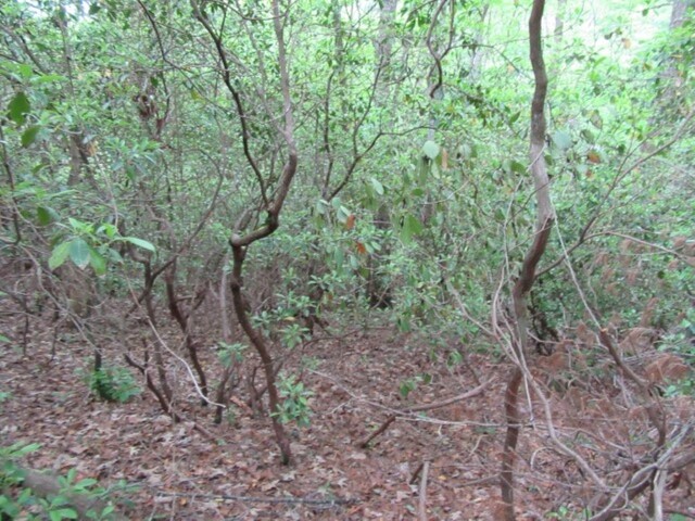 Photo of 343 Gauley falls Road