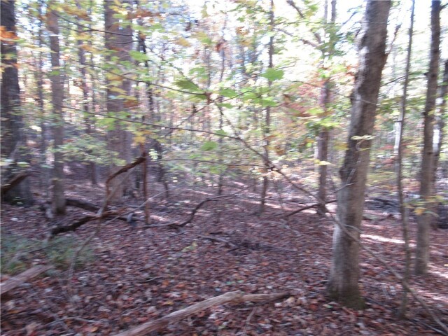 Photo of 107 N Foxglove Road