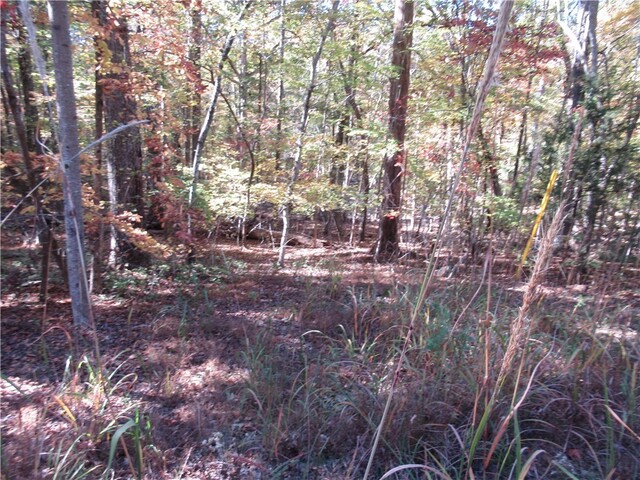 Photo of 107 N Foxglove Road