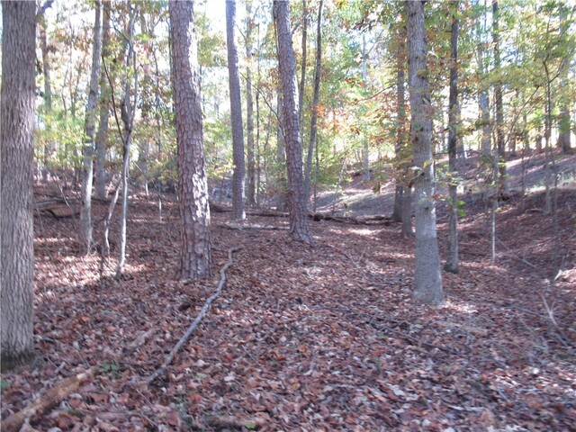 Photo of 107 N Foxglove Road