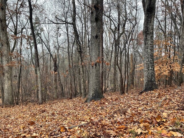 Photo of Lot 2134 S Arrowhead Drive Photo of Lot 2134 S Arrowhead Drive