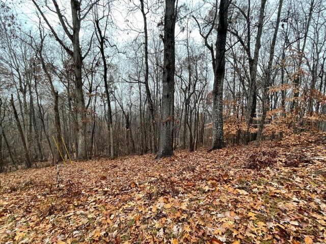 Photo of Lot 2134 S Arrowhead Drive