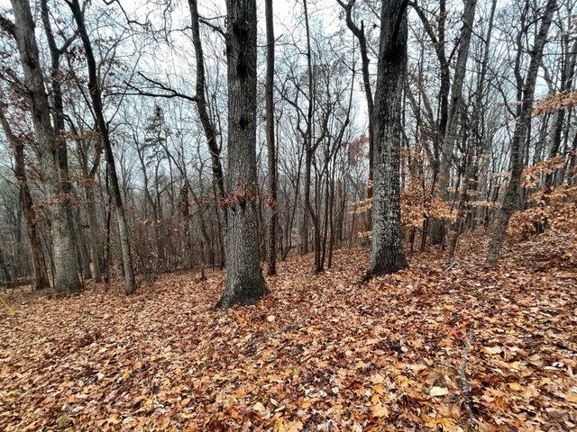 Photo of Lot 2134 S Arrowhead Drive