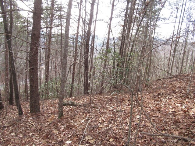 Photo of 00 Lone Rock Court