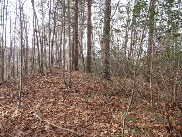 Photo of 00 Lone Rock Court