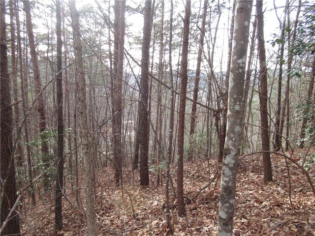 Photo of 00 Lone Rock Court