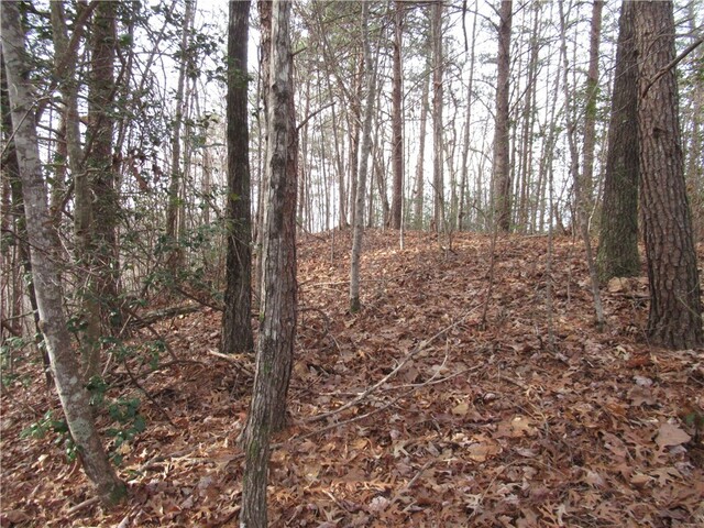 Photo of 00 Lone Rock Court