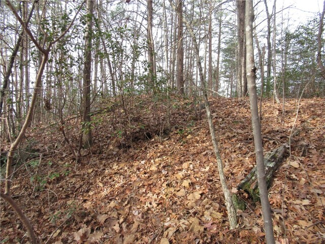 Photo of 00 Lone Rock Court