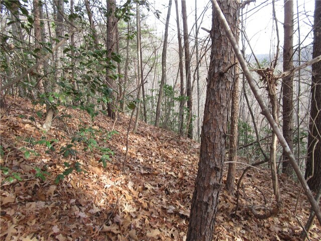 Photo of 00 Lone Rock Court